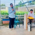 Inovasi Pertanian: Hidroponik Jadi Alternatif Bertani Di Lahan Sempit